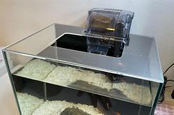 レビュータイトル