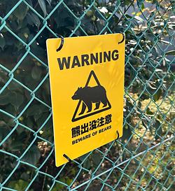 レビュータイトル