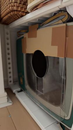 レビュータイトル