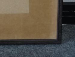 レビュータイトル