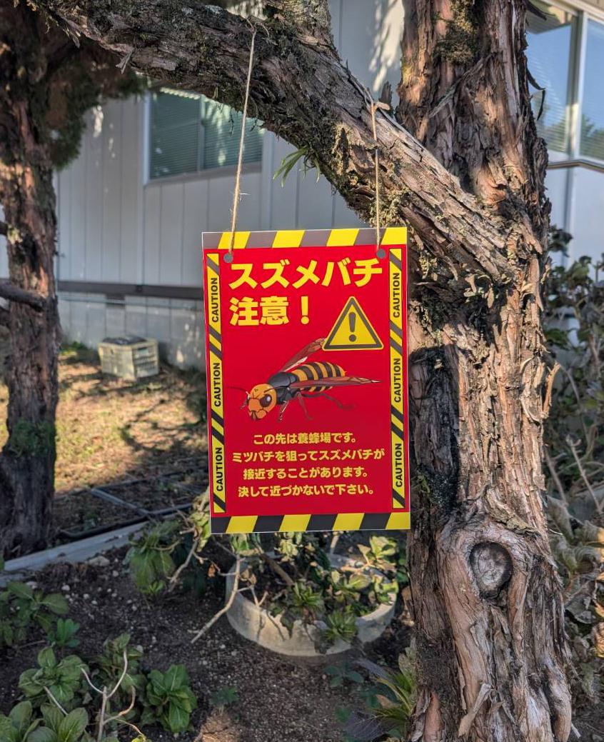 商品名が入ります