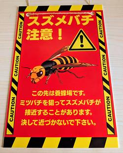 レビュータイトル