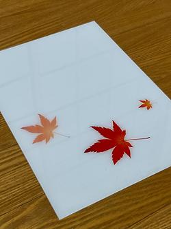 レビュータイトル