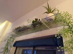 レビュータイトル