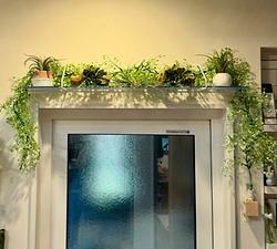 レビュータイトル