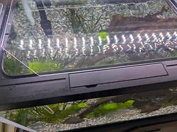 レビュータイトル