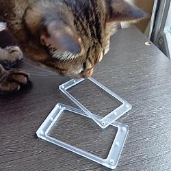 レビュータイトル