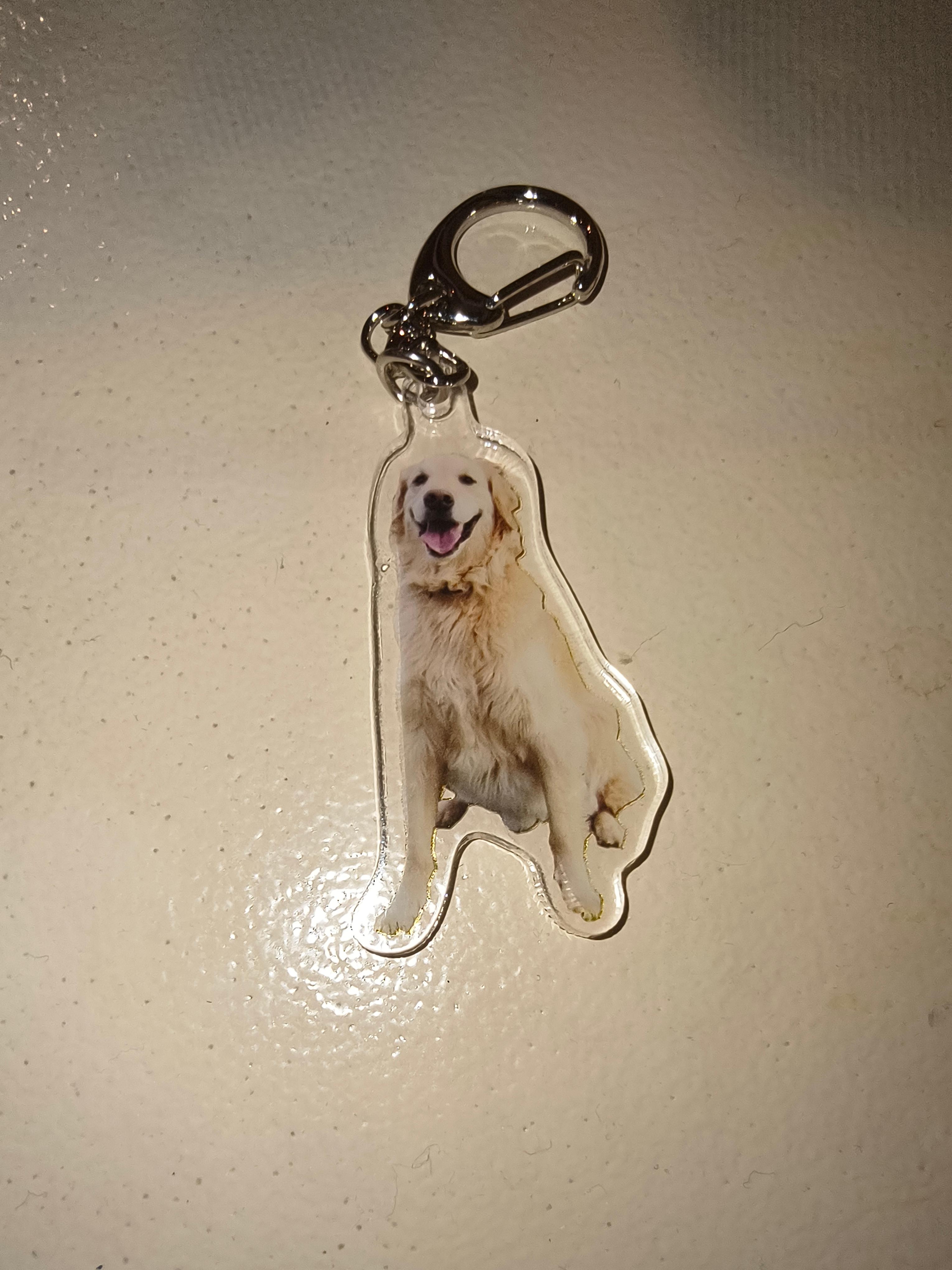 商品名が入ります