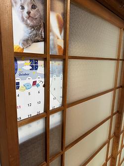 レビュータイトル
